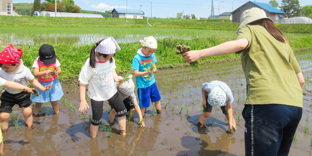 田植えをする園児たちと保育士