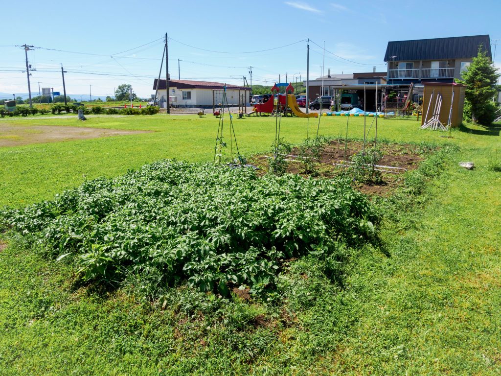 南東端から見た園庭